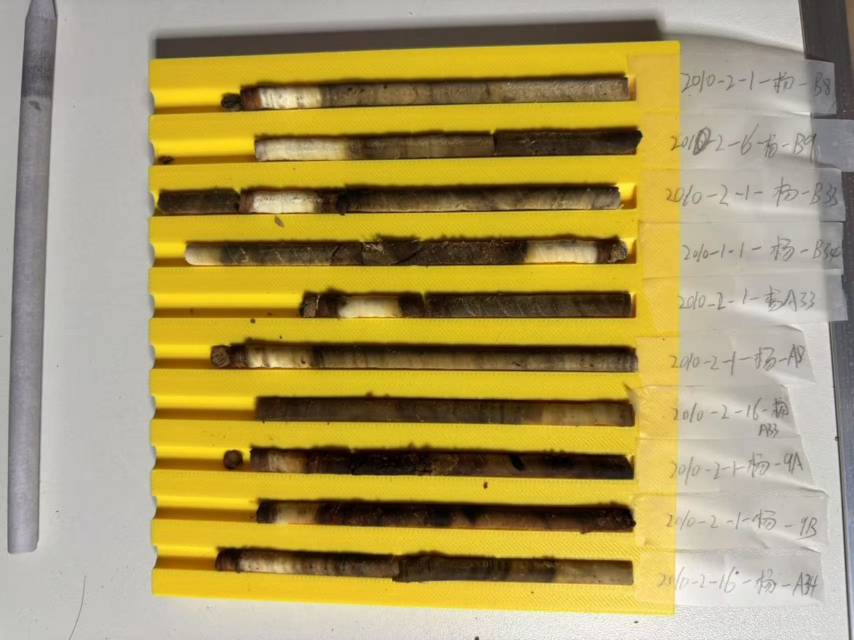 Section image